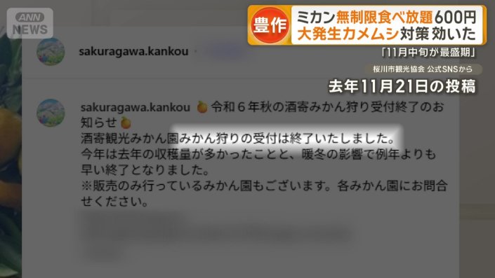 去年は事情が…