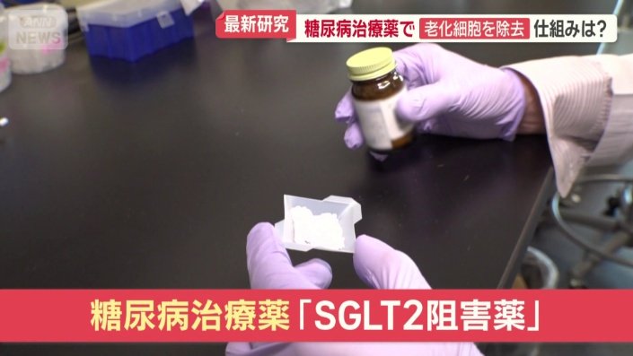 SGLT2阻害薬