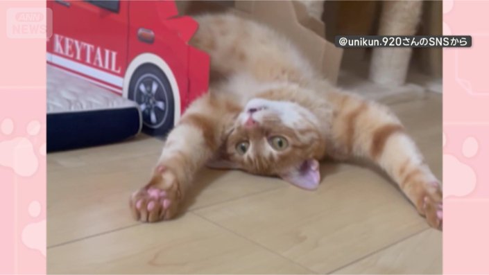 バンザイしてこの表情