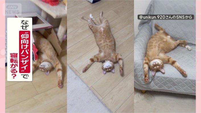 バンザイするのはなぜ？