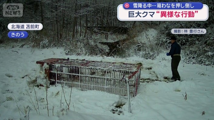 横に倒れている箱わな