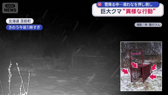 300キロ以上の箱わなを押し倒すヒグマ