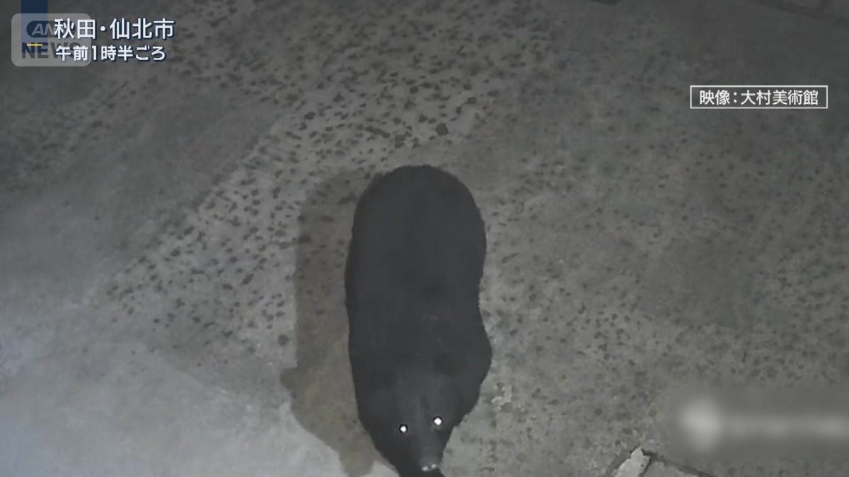 “クマ駆除チーム”が活動開始 警察がライフルでクマ駆除可能に