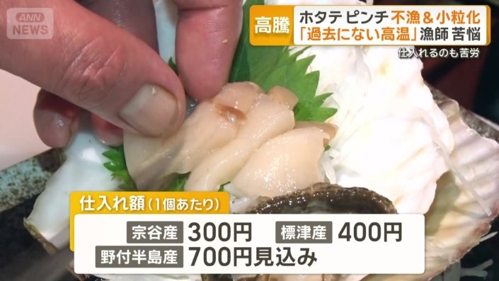 ホタテの仕入れ値（1個あたり）