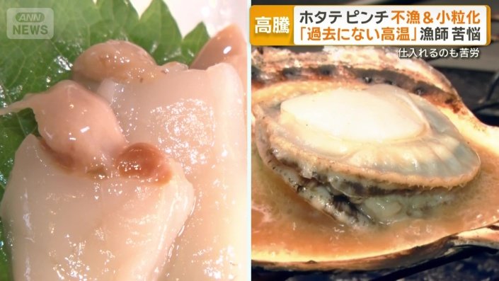 ホタテの刺身と焼き