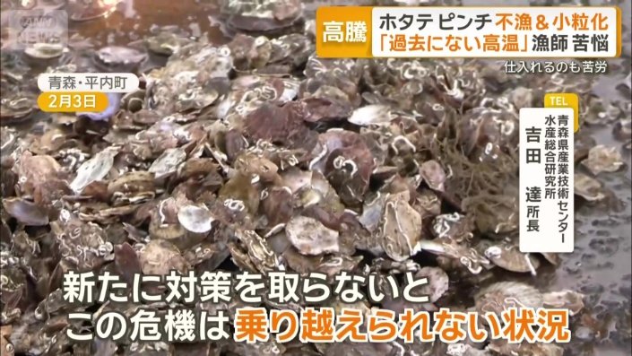 「新たな技術の開発を進めている」