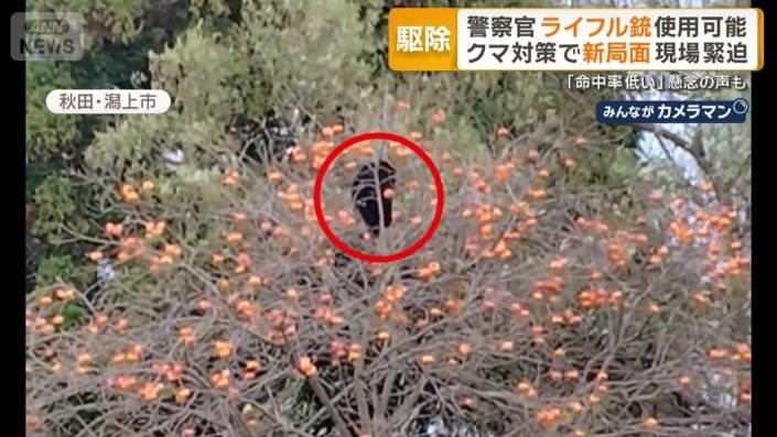 連日のように方々で出没するクマ