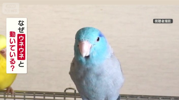 なぜウネウネ動くの?