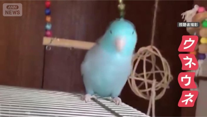 首をウネウネダンシング