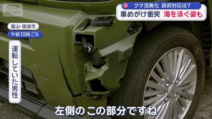 クマがぶつかった左前方部分