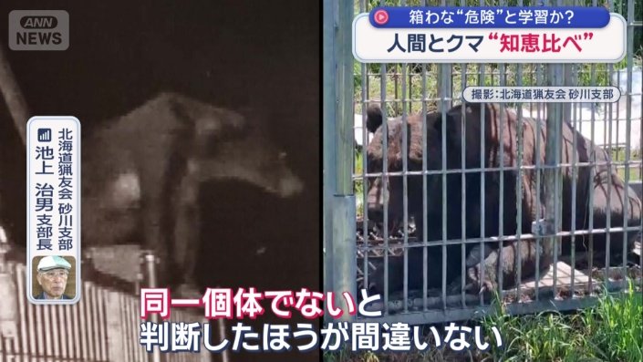 「同一個体でない」