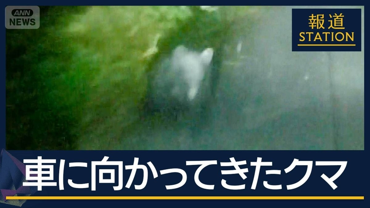 政府『クマ対策パッケージ』発表も…秋田市民に広がる“警戒疲れ”