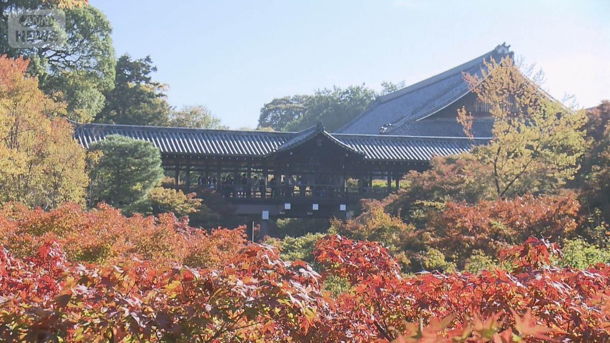 紅葉シーズン京都大混雑 嵐山の竹林に落書き被害で伐採へ