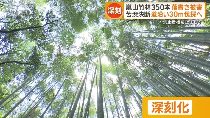 深刻化する問題