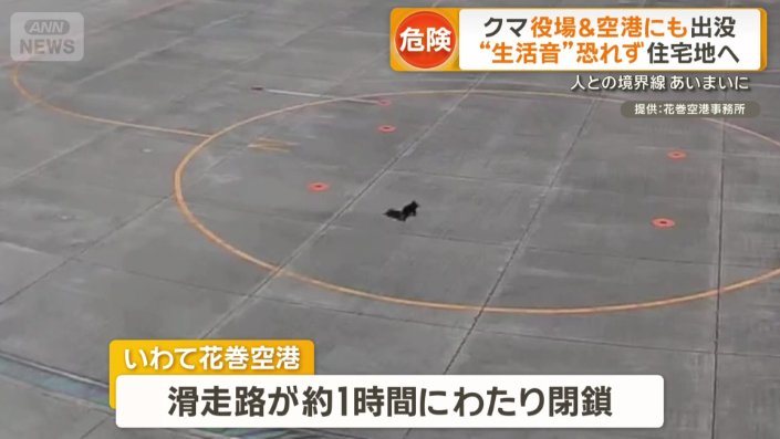 「いわて花巻空港」に現れたクマ