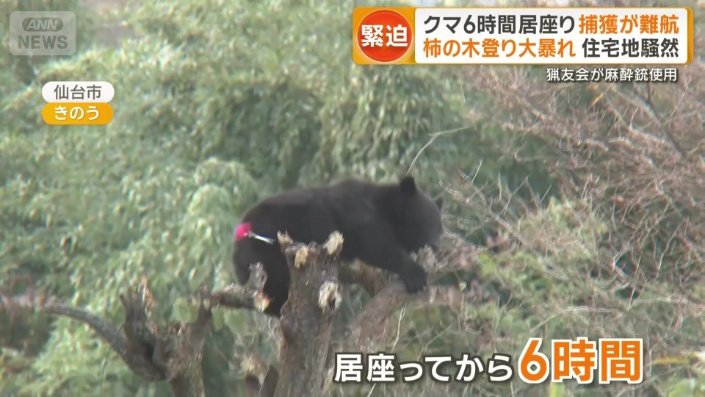 居座ってから6時間