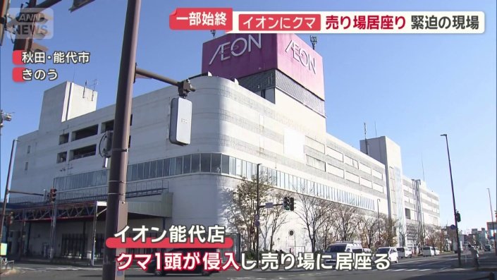 イオン能代店にクマ1頭が侵入