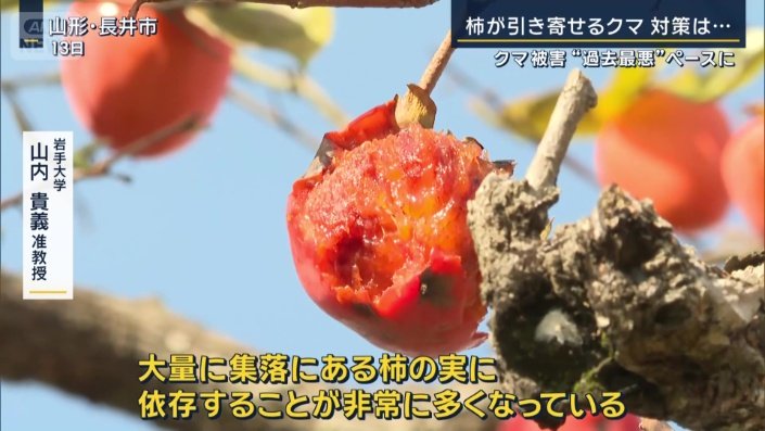 岩手大学 山内貴義准教授