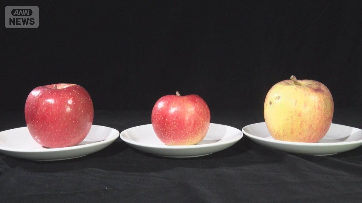 味は同じ「訳ありリンゴ」に注文殺到　傷モノや小ぶりサイズ詰め合わせで1個96円に