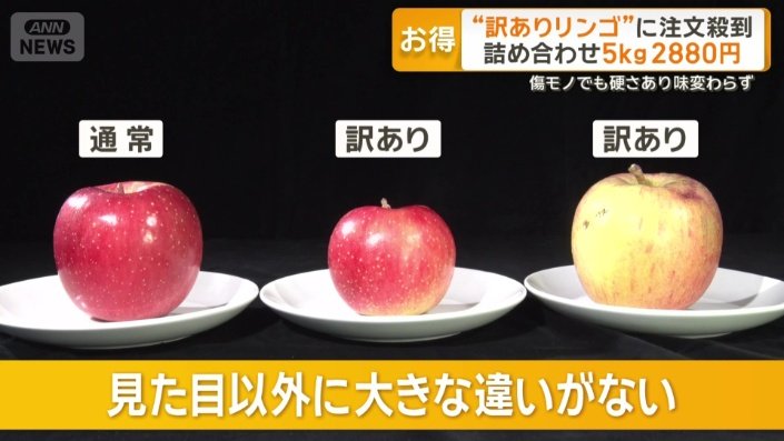 見た目以外に大きな違いがない