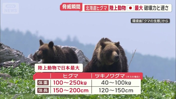 陸上動物で日本最大