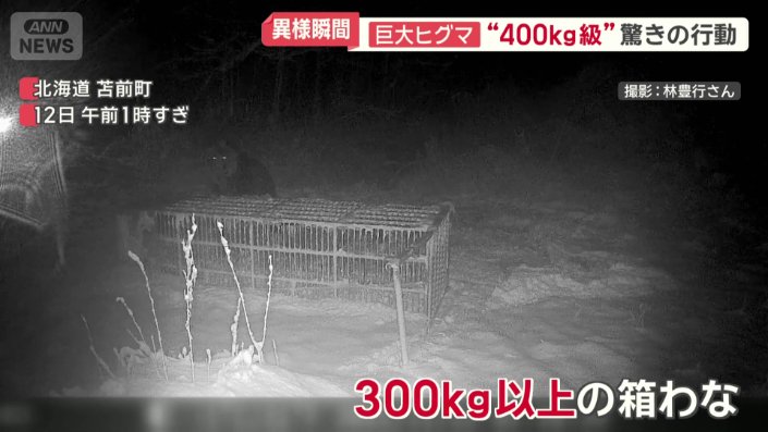 300キロ以上の箱わなに執着