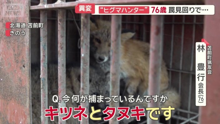 「キツネとタヌキです」