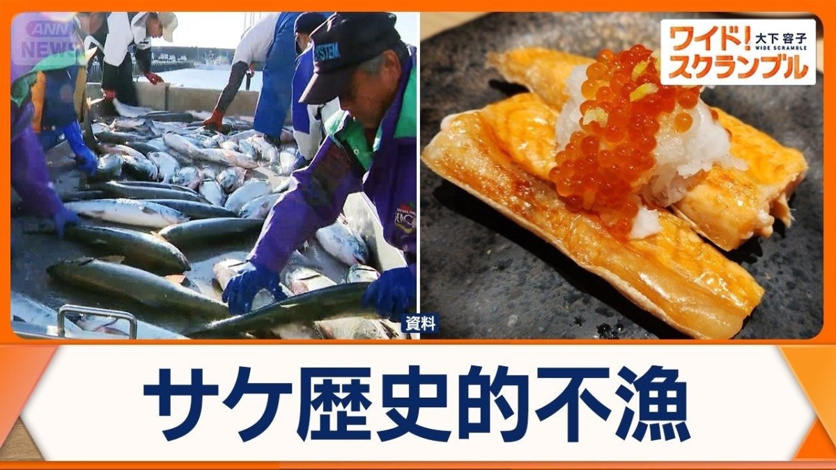 サケ歴史的不漁　北海道は前年の4割　地球温暖化の影響か…対策も