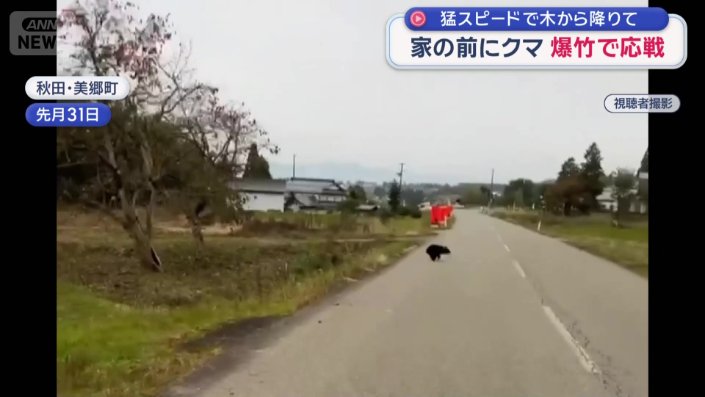 爆竹を使用すると走り去った