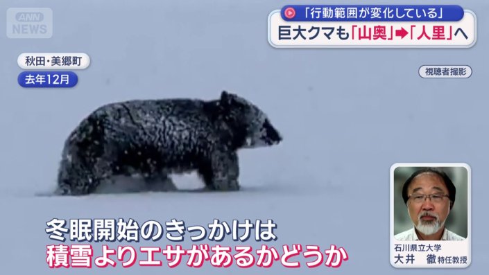 今年はクマの冬眠が遅れる可能性