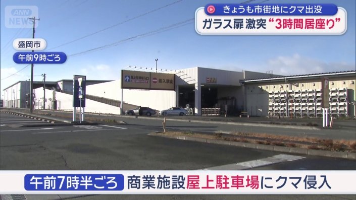 商業施設の屋上駐車場にクマ侵入