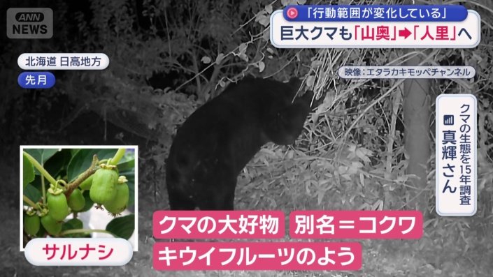 体長2m超のヒグマ