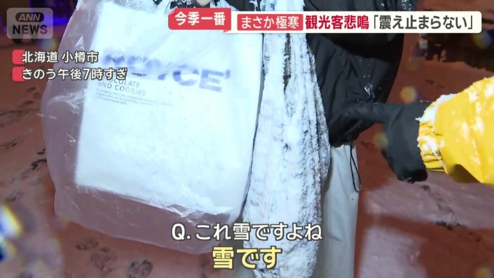 まるで冷凍庫の霜　かばんにこびりつく雪