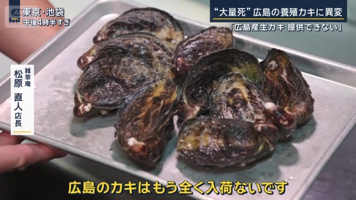 雑草庵　松原直人店長