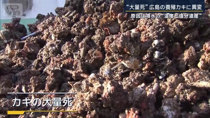 カキの大量死