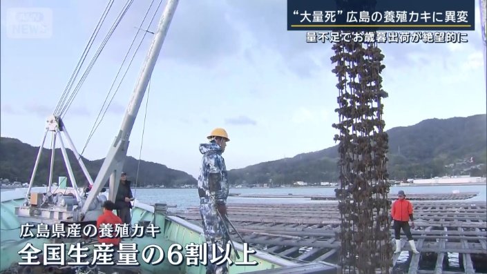 養殖カキの生産量