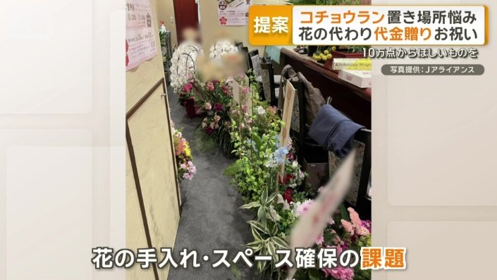 花の手入れ・スペース確保の課題