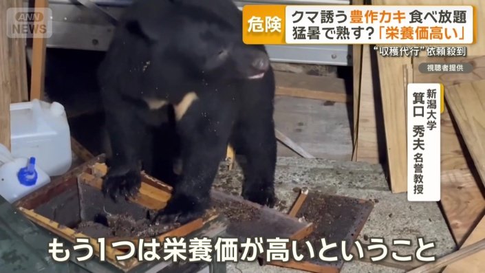 「3つの条件をすべて満たしている」