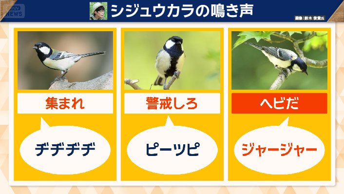 200以上のパターンがある