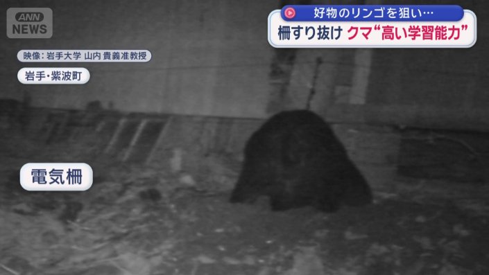 リンゴを保管している小屋