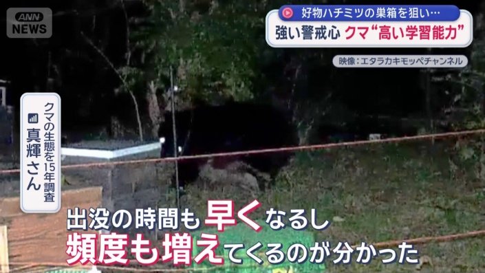 徐々に人などに慣れてくると…