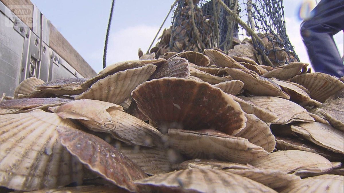 ホタテ発送も輸入拒否か 日本料理店ではキャンセルも…中国が水産物輸入を事実上停止