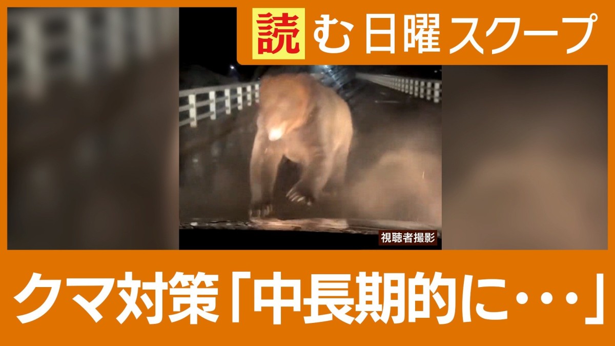 “災害級”クマ被害「市街地での射撃は直径5センチの標的」「ブナ豊凶の周期が…」