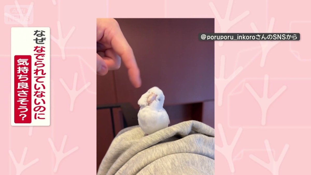 なぜ気持ち良さそう？