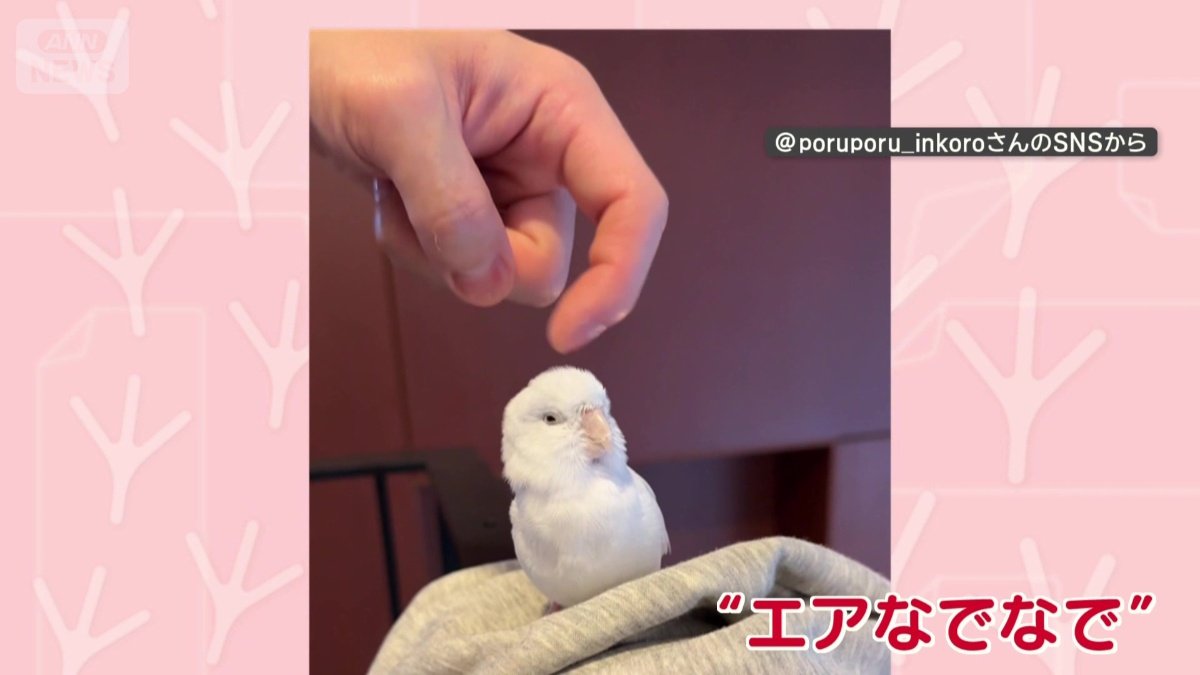 “エアなでなで”れると…