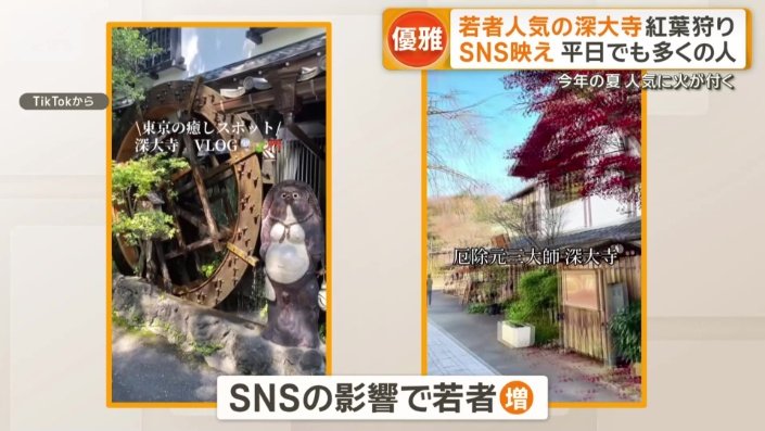 訪れる若者が増えた