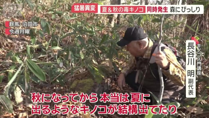 「（発生時期が）狂っちゃっているような感じ」