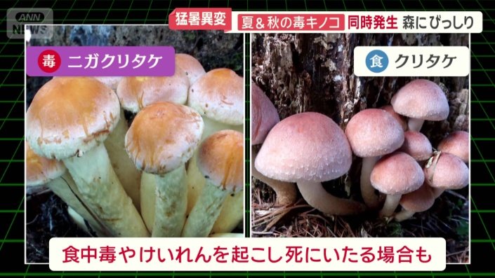 食中毒やけいれんを起こし死にいたる場合も