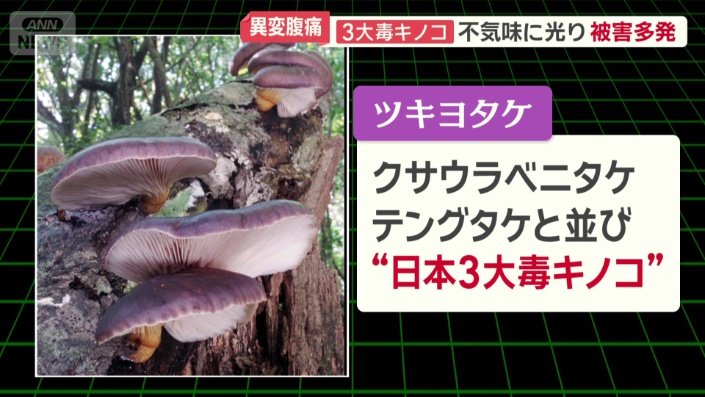 日本3大毒キノコ