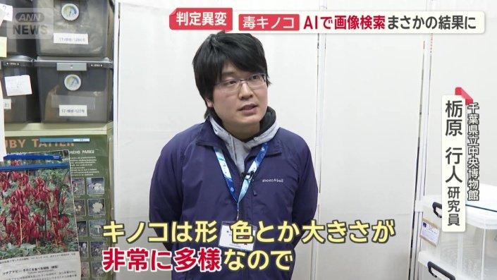 千葉県立中央博物館　栃原行人研究員